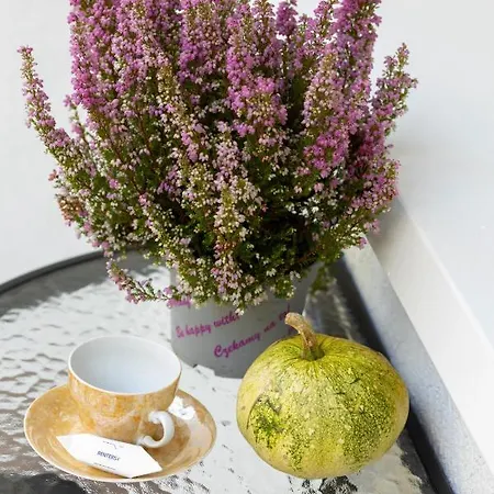 In Centre Of - Katedralna With Balcony By Renters Appartement