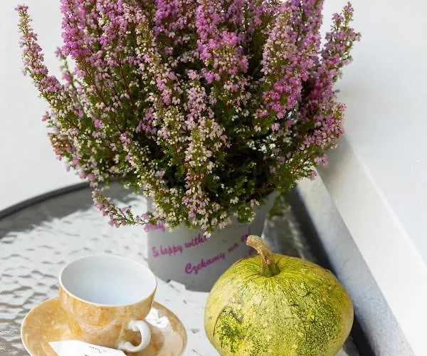 In Centre Of - Katedralna With Balcony By Renters Appartement